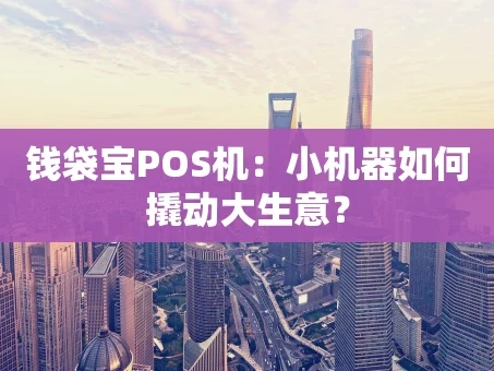 重庆钱袋宝POS机：小机器如何撬动大生意？