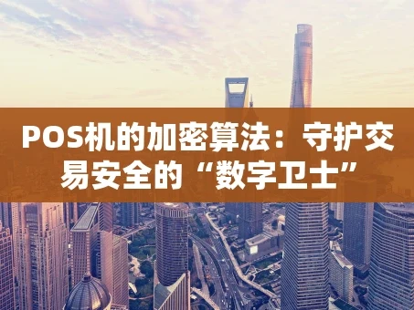 重庆POS机的加密算法：守护交易安全的“数字卫士”