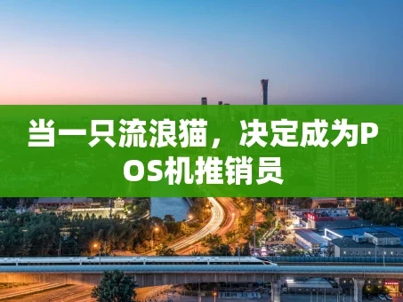 重庆当一只流浪猫，决定成为POS机推销员