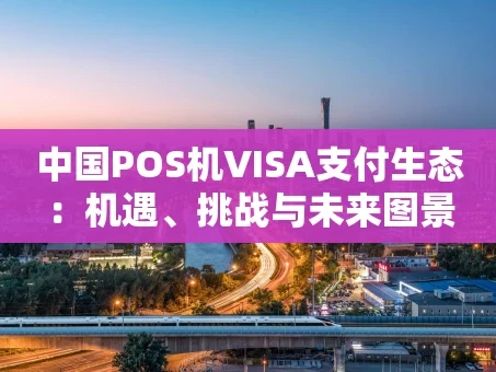 重庆中国POS机VISA支付生态：机遇、挑战与未来图景