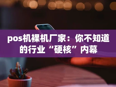 重庆pos机裸机厂家：你不知道的行业“硬核”内幕