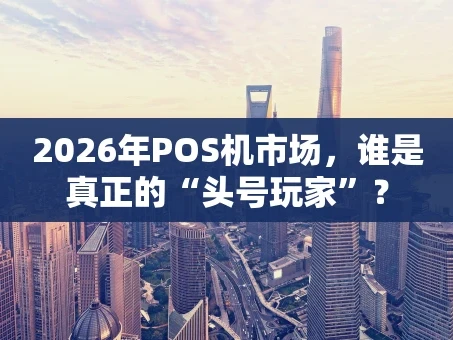 重庆2026年POS机市场，谁是真正的“头号玩家”？