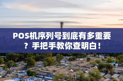 POS机序列号到底有多重要?手把手教你查明白! POS机序列号到底有多重要?手把手教你查明白!