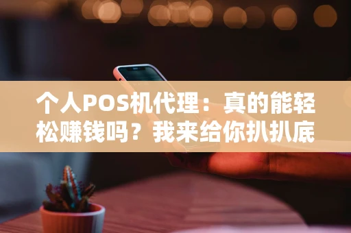 个人POS机代理:真的能轻松赚钱吗?我来给你扒扒底 个人POS机代理:真的能轻松赚钱吗?我来给你扒扒底