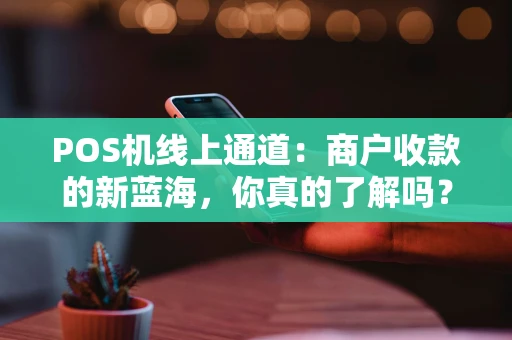 POS机线上通道：商户收款的新蓝海，你真的了解吗？