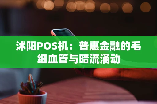 沭阳POS机:普惠金融的毛细血管与暗流涌动 沭阳POS机:普惠金融的毛细血管与暗流涌动