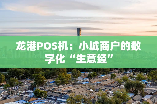 龙港POS机:小城商户的数字化“生意经” 龙港POS机:小城商户的数字化“生意经”
