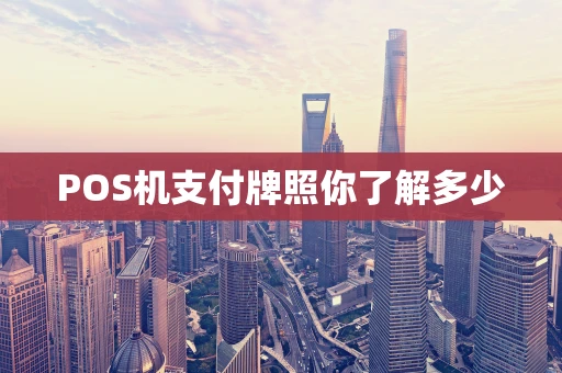 POS机支付牌照你了解多少