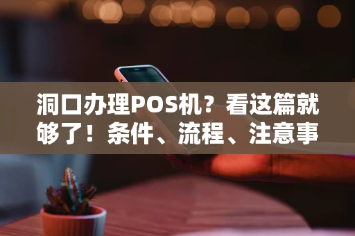 洞口办理POS机？看这篇就够了！条件、流程、注意事项一次说清