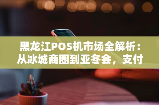 黑龙江POS机市场全解析：从冰城商圈到亚冬会，支付便利如何升级？