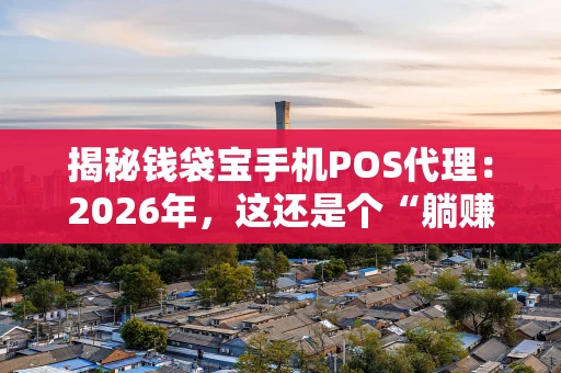 揭秘钱袋宝手机POS代理：2026年，这还是个“躺赚”的好生意吗？