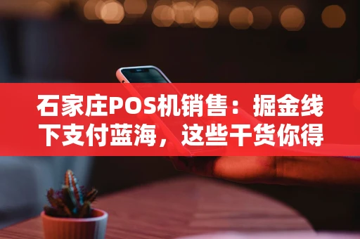 石家庄POS机销售：掘金线下支付蓝海，这些干货你得知道