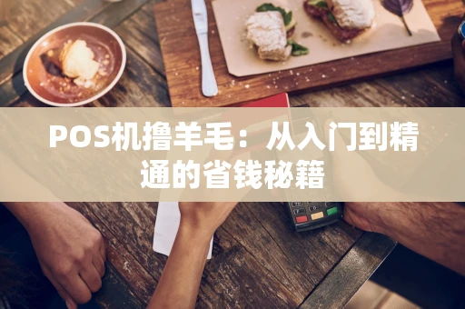 POS机撸羊毛：从入门到精通的省钱秘籍