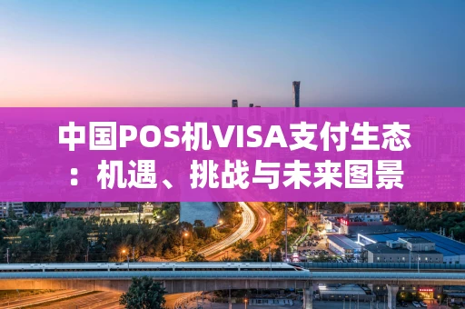 中国POS机VISA支付生态：机遇、挑战与未来图景