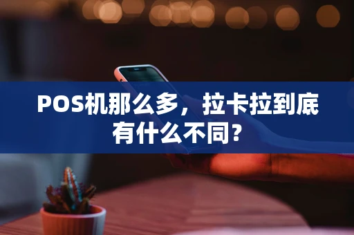 POS机那么多,拉卡拉到底有什么不同? POS机那么多,拉卡拉到底有什么不同?
