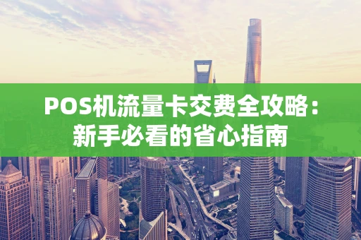 POS机流量卡交费全攻略:新手必看的省心指南 POS机流量卡交费全攻略:新手必看的省心指南