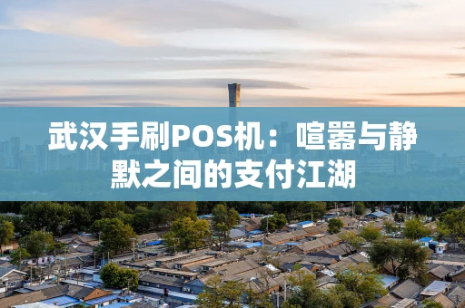 武汉手刷POS机：喧嚣与静默之间的支付江湖