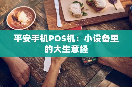 平安手机POS机:小设备里的大生意经 平安手机POS机:小设备里的大生意经