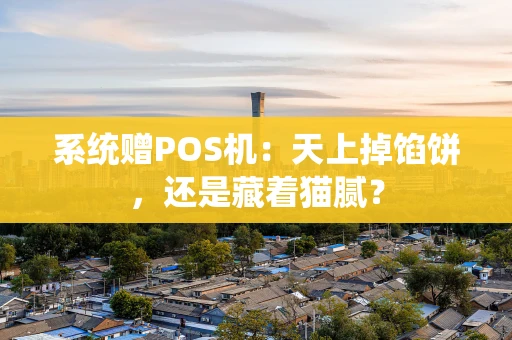 系统赠POS机：天上掉馅饼，还是藏着猫腻？