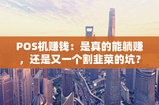 POS机赚钱：是真的能躺赚，还是又一个割韭菜的坑？