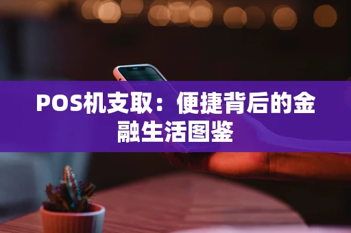 POS机支取:便捷背后的金融生活图鉴 POS机支取:便捷背后的金融生活图鉴