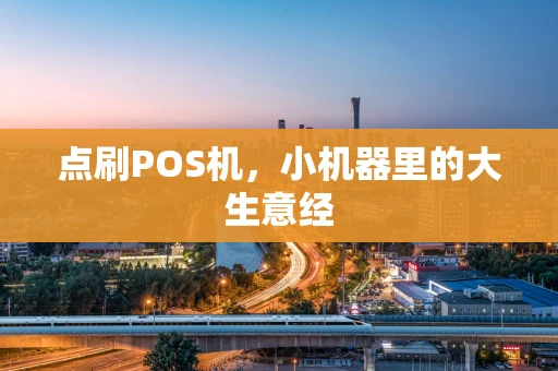 点刷POS机，小机器里的大生意经