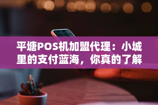 平塘POS机加盟代理：小城里的支付蓝海，你真的了解吗？