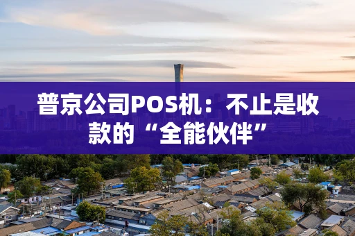 普京公司POS机：不止是收款的“全能伙伴”