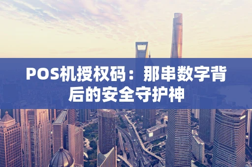 POS机授权码：那串数字背后的安全守护神