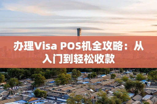 办理Visa POS机全攻略：从入门到轻松收款