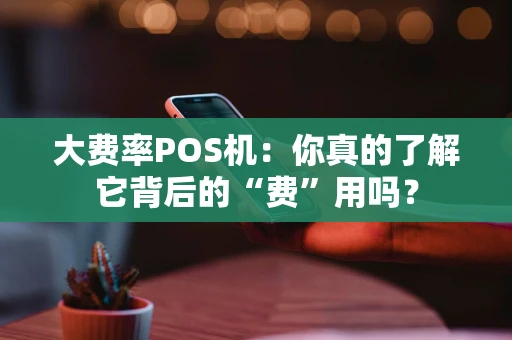 大费率POS机：你真的了解它背后的“费”用吗？