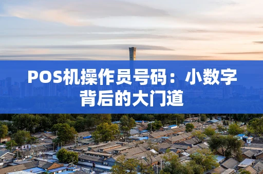 POS机操作员号码：小数字背后的大门道
