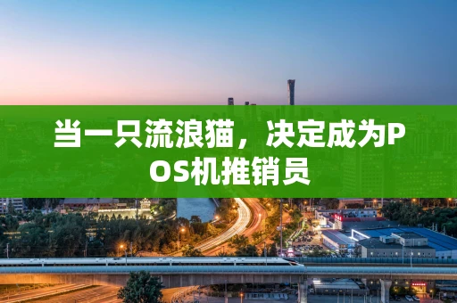 当一只流浪猫，决定成为POS机推销员