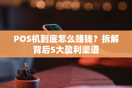 POS机到底怎么赚钱？拆解背后5大盈利渠道