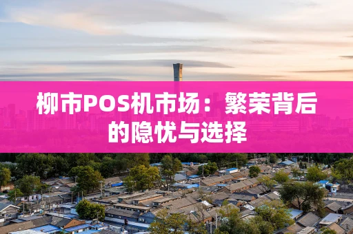 柳市POS机市场：繁荣背后的隐忧与选择