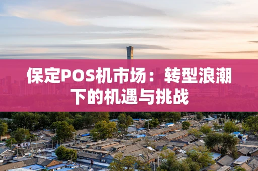 保定POS机市场：转型浪潮下的机遇与挑战