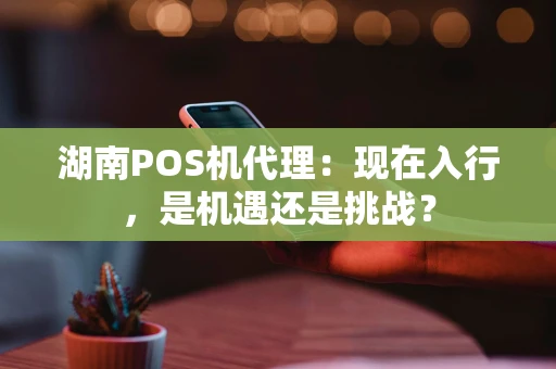 湖南POS机代理：现在入行，是机遇还是挑战？