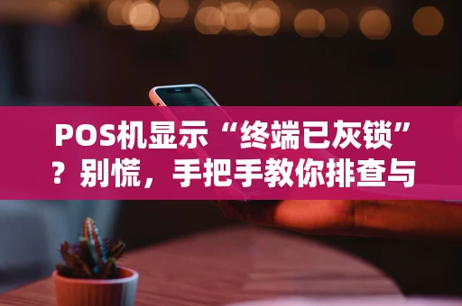 POS机显示“终端已灰锁”？别慌，手把手教你排查与解决