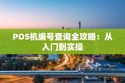 POS机编号查询全攻略：从入门到实操