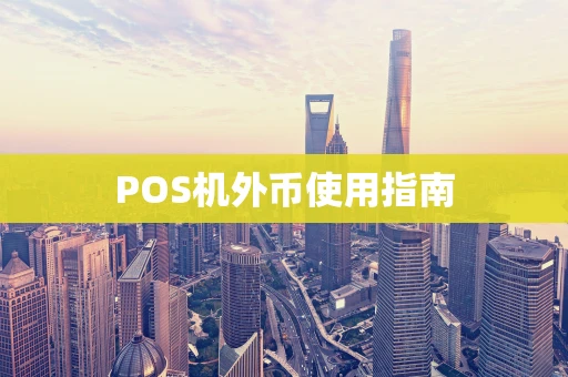 POS机外币使用指南