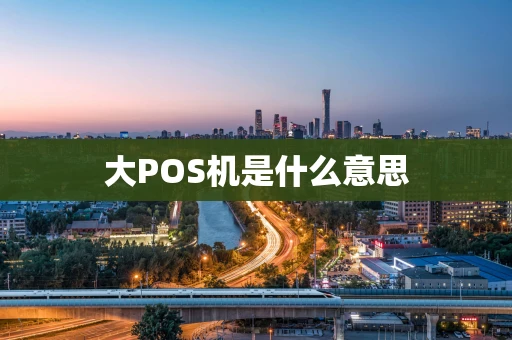 大POS机是什么意思