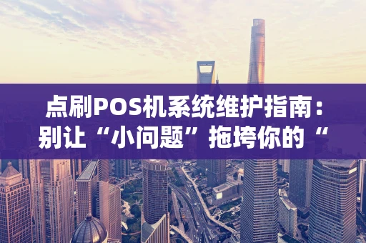 点刷POS机系统维护指南：别让“小问题”拖垮你的“大生意”