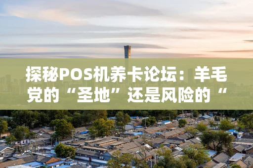 探秘POS机养卡论坛：羊毛党的“圣地”还是风险的“沼泽地”？