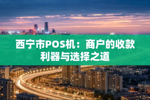 西宁市POS机：商户的收款利器与选择之道