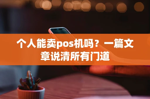 个人能卖pos机吗？一篇文章说清所有门道