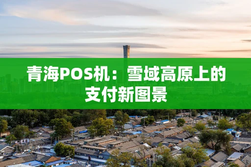 青海POS机：雪域高原上的支付新图景