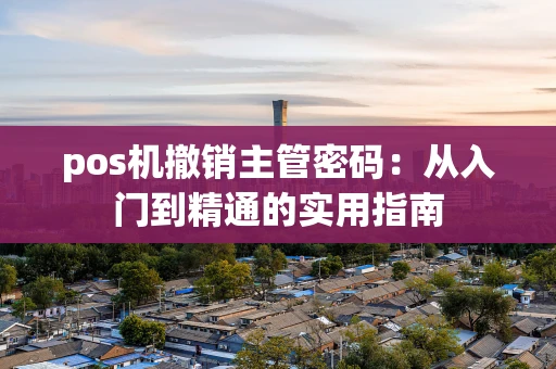 pos机撤销主管密码：从入门到精通的实用指南