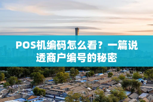 POS机编码怎么看?一篇说透商户编号的秘密 POS机编码怎么看?一篇说透商户编号的秘密