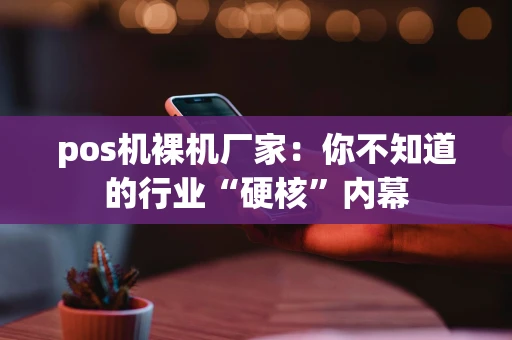 pos机裸机厂家:你不知道的行业“硬核”内幕 pos机裸机厂家:你不知道的行业“硬核”内幕