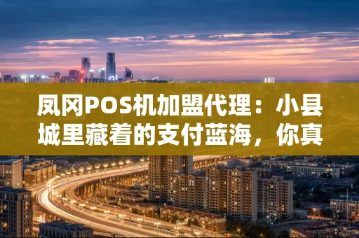 凤冈POS机加盟代理:小县城里藏着的支付蓝海,你真的了解吗? 凤冈POS机加盟代理:小县城里藏着的支付蓝海,你真的了解吗?